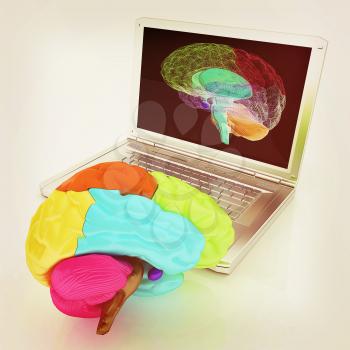 creative three-dimensional model of real human brain and scan on a digital laptop. 3d render