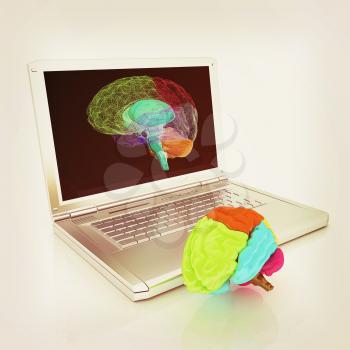 creative three-dimensional model of real human brain and scan on a digital laptop. 3d render