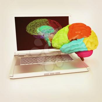 creative three-dimensional model of real human brain and scan on a digital laptop. 3d render