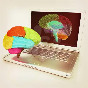 creative three-dimensional model of real human brain and scan on a digital laptop. 3d render