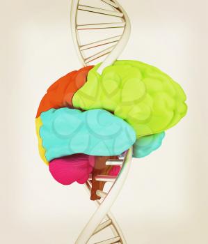 Brain and dna. 3d illustration