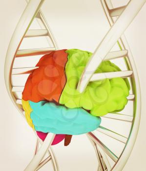 Brain and dna. 3d illustration