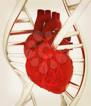 DNA and heart. 3d illustration