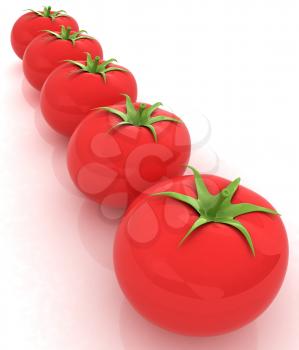 tomato. 3d illustration