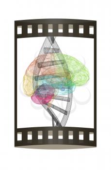 DNA and heart medical concept. 3d illustration. The film strip.