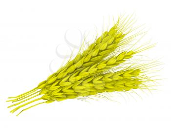 Wheat ears spikelets with grains. 3d render