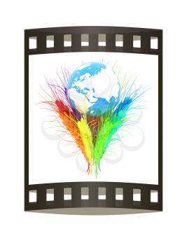 Colorfull ears of wheat and Earth. Symbol that depicts prosperity, wealth and abundance.. Film strip.