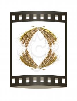 Wheat ears logo. Mock up for you design. 3d render. Film strip.