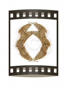 Wheat ears logo. Mock up for you design. 3d render. Film strip.