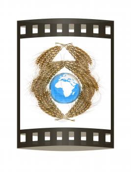 Wheat ears logo design with Earth. 3d render. Film strip.