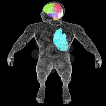 Wire human body model with heart and brain in x-ray. 3d render. On a black background.