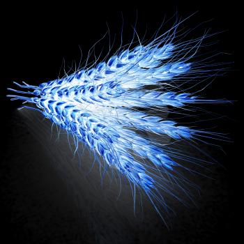 Golden spikelet. 3d render. On a black background.