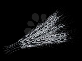 Metall spikelet. 3d render. On a black background.