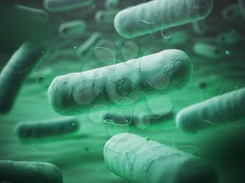 Enterobacteriaceas. Gram-negative bacterias escherichia coli, salmonella, klebsiella, legionella, mycobacterium tuberculosis, yersinia pestis,  and shigella, proteus, enterobacter, serratia, and citro