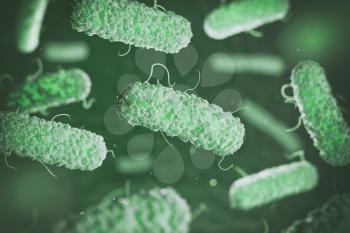 Enterobacterias. Gram-negative bacterias escherichia coli, salmonella, klebsiella, legionella, mycobacterium tuberculosis, yersinia pestis,  and shigella, proteus, enterobacter, serratia, and citrobacter. 3d illustration