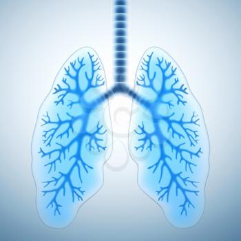 Healthy lungs