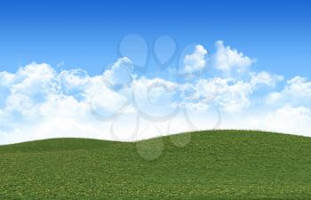 Grass field  and perfect sky