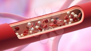 Red and white blood cells in the vein. Leukocyte high level. 3D illustration