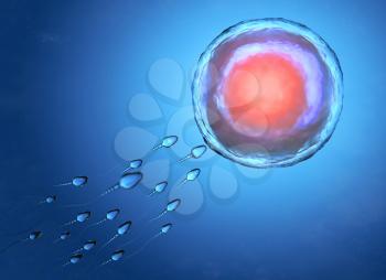 Illustration of sperm and egg cell. 3D illustration