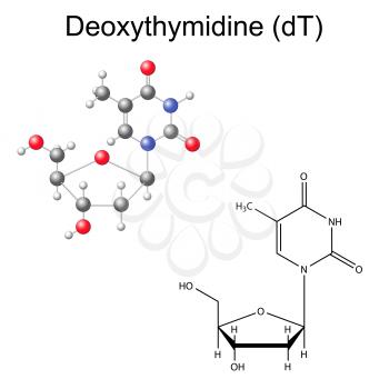 Thymine Clipart