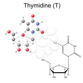 Thymine Clipart