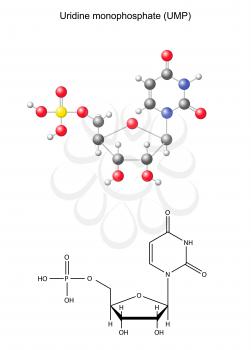 Biosynthesis Clipart