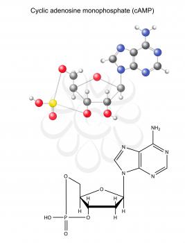 Biosynthesis Clipart