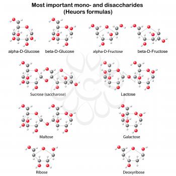 Monomer Clipart