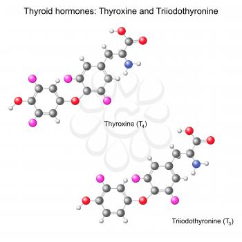 Thyroid Clipart