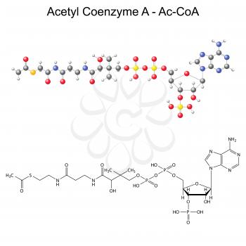 Enzyme Clipart