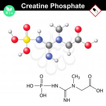 Creatine Clipart