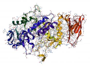 Alpha-Amylase, an enzyme that hydrolyses polysaccharides, such as starch and glycogen, to glucose and maltose.