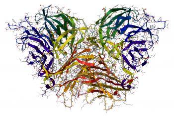 Invertase, an enzyme that catalyzes the hydrolysis (breakdown) of sucrose (table sugar). 3D molecular structure