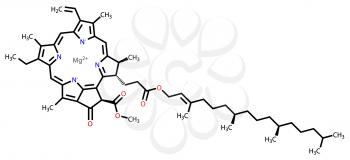 Structural formula of chlorophyll A on a white background