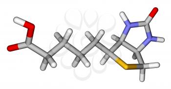 Biotin (vitamin H or B7) 3D molecular model