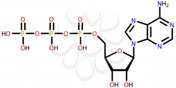 Structural formula of adenosine triphosphate (ATP) on a white background