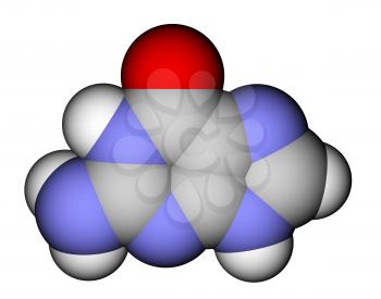 Nucleobase guanine space-filling molecular model