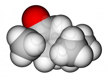 Thujone, compound with menthol odor, constituent of absinthe