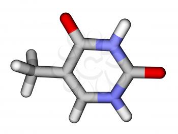 Nucleobase thymine sticks molecular model