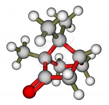 Camphor 3D molecular model