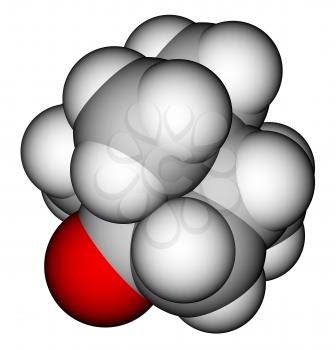 Camphor 3D molecular model