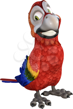 Parrot Clipart