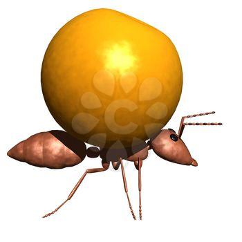 Ant Clipart