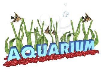 Aquarium Clipart