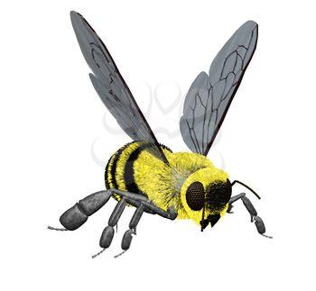 Insect Clipart