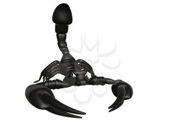 Scorpion Clipart