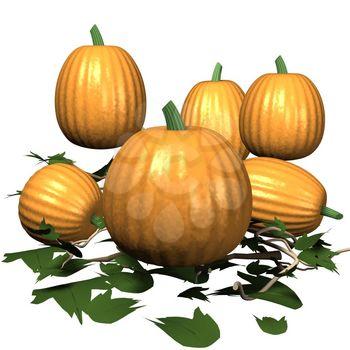 Pumpkins Clipart