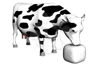 Cow-berry Clipart