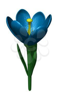 Crocus Clipart