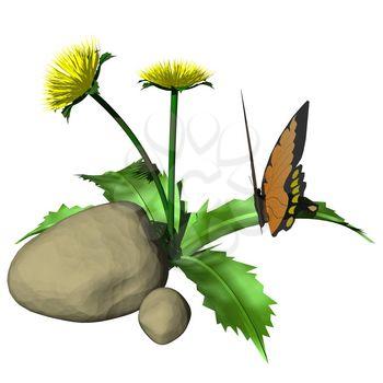 Butterfly Clipart